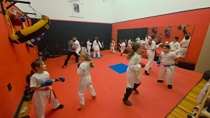 Clase de karate para niños